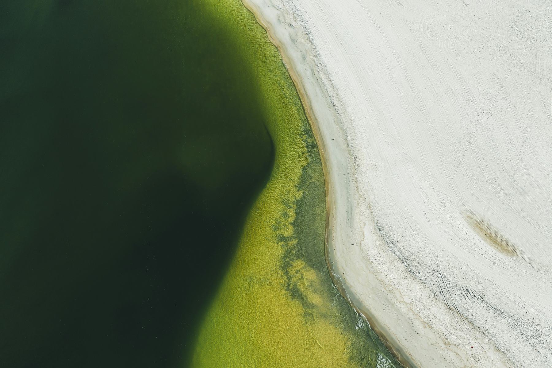 Abstract aerial landscape of a green lagoon meeting a pale sandy shoreline